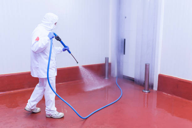 Best Pool Deck Cleaning  in La Mesa, CA