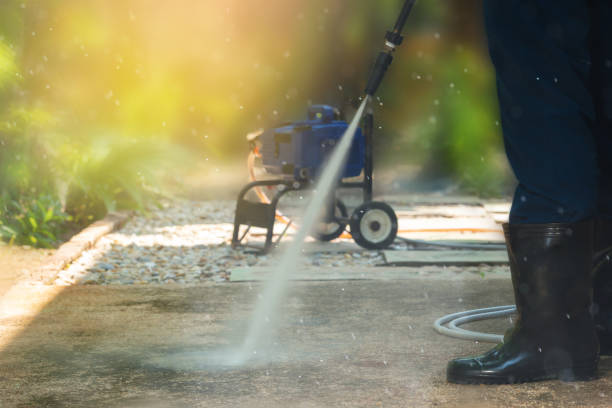 Best Sidewalk and Walkway Cleaning  in La Mesa, CA